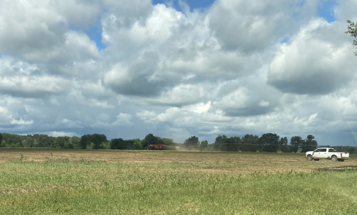 Potato harvest in progress. A harvester raises dust in the distance while a white pickup truck is parked nearby. Cloudy skies hang over the freshly worked field bordered by trees.